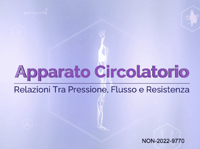 Apparato Circolatorio. Relazioni tra pressione, flusso e resistenza
