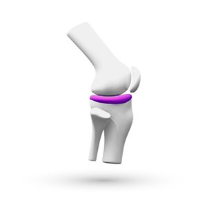 Area dedicata alla medicina che si occupa della Terapia del Dolore