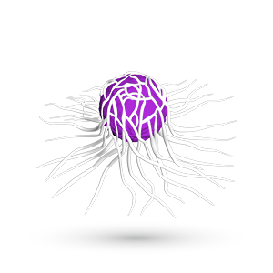 Area Terapeutica dedicata a diagnosi, trattamento e prevenzione dei tumori benigni e maligni